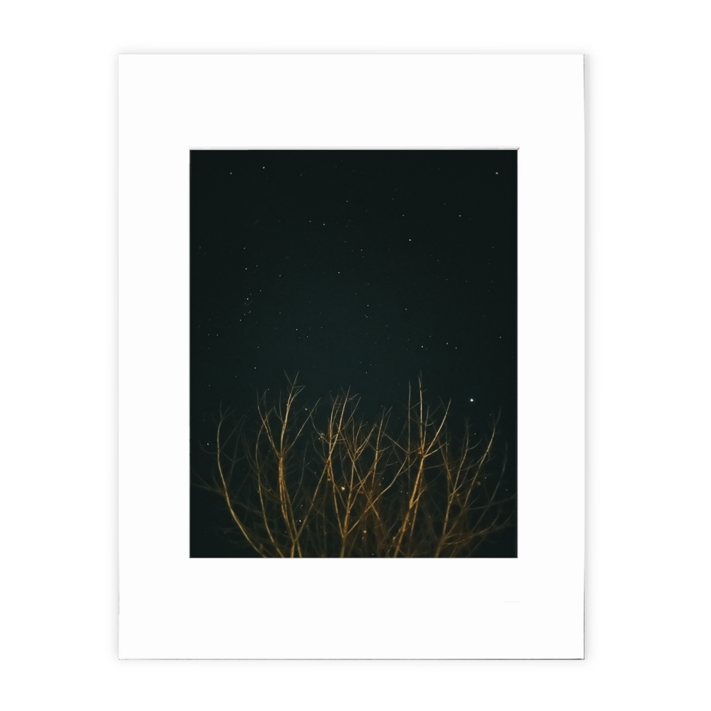 Deep Magic Photo Print