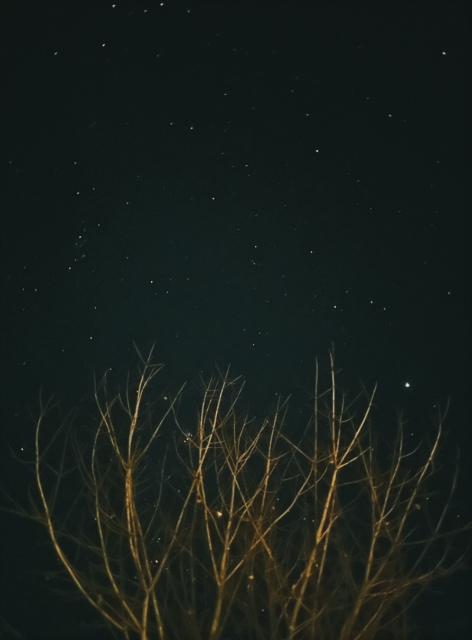 Deep Magic Photo Print