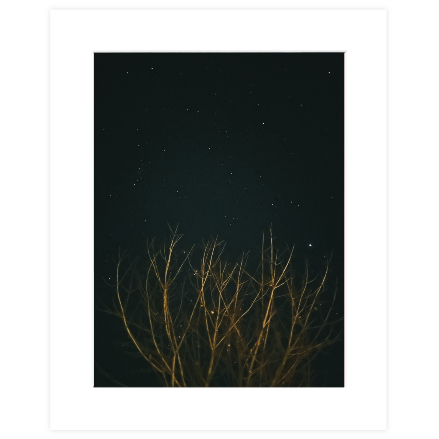 Deep Magic Photo Print