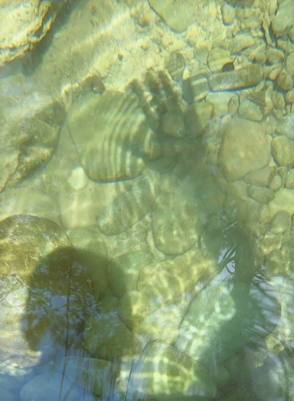 Lightspeed Photo Print