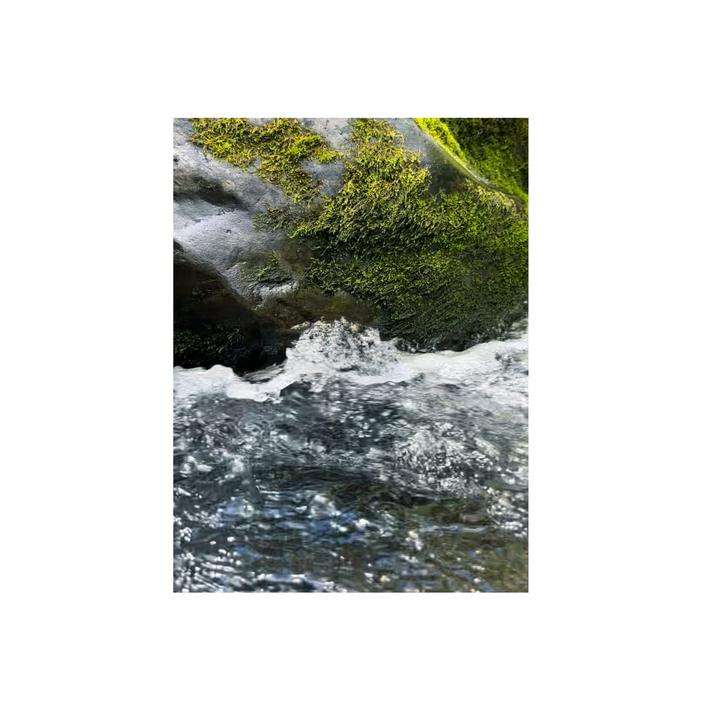 Look at Where We Live print