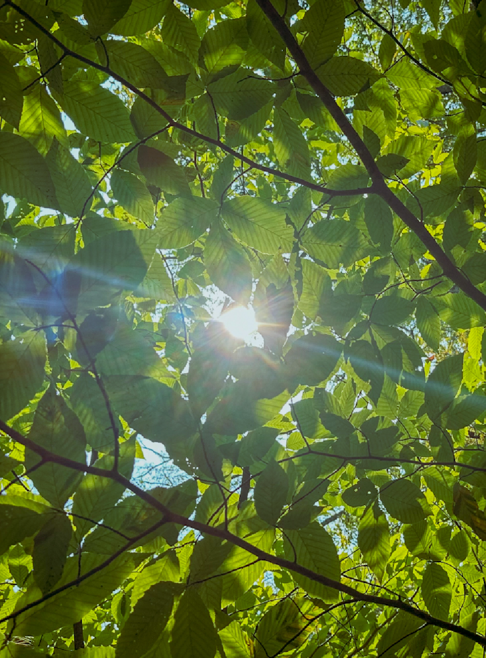 It Once Seemed Impossible Photo Print