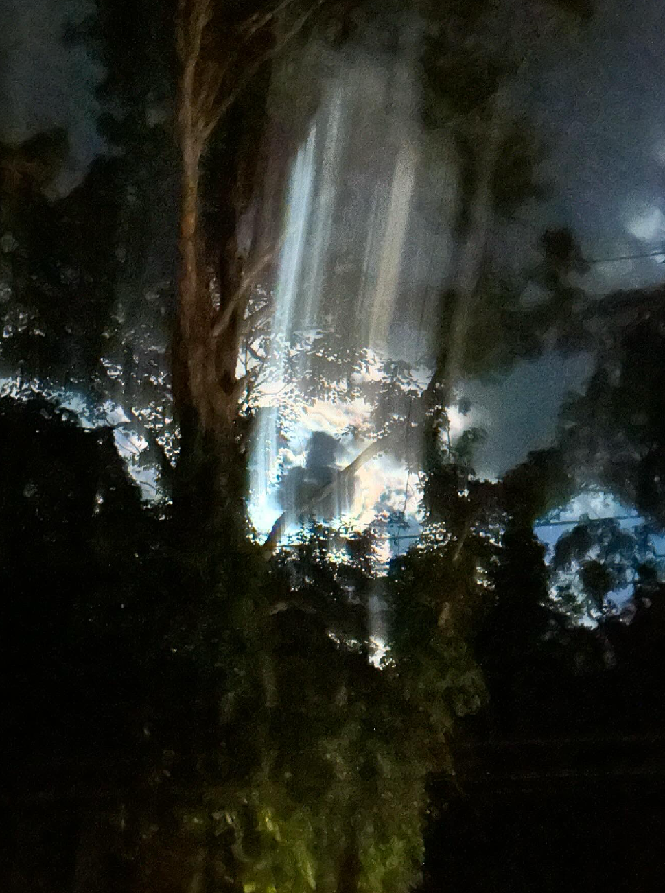 Strange Vibrations Are Common photo print