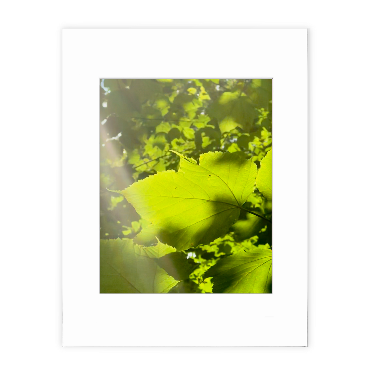 We Could Live Like This Photo Print