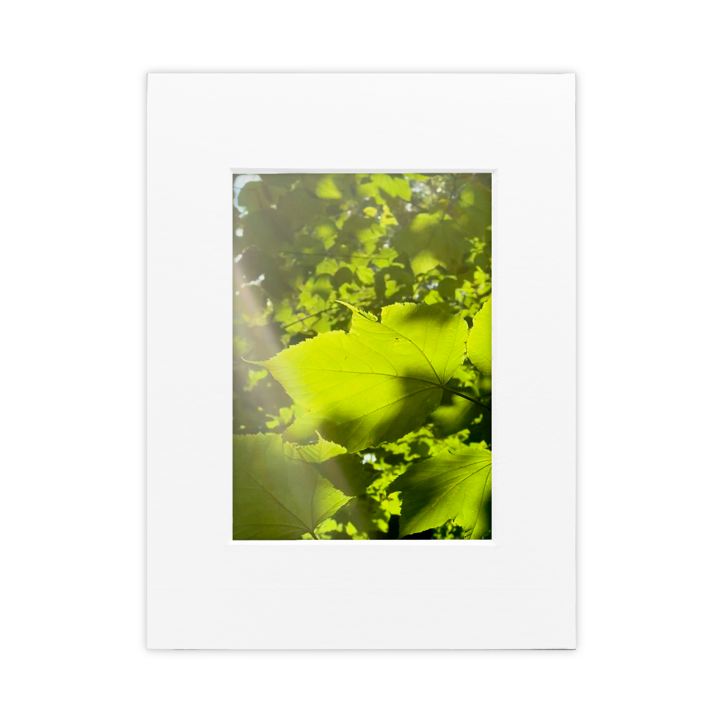 We Could Live Like This Photo Print