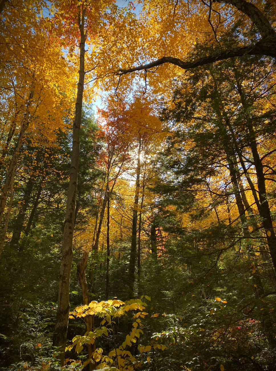 You Were In My Dream photo print