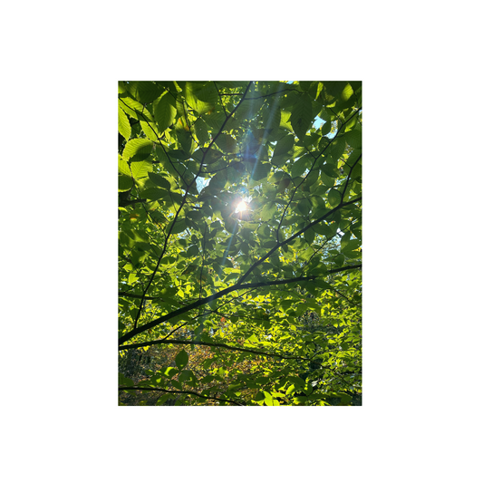 It Once Seemed Impossible Photo Print