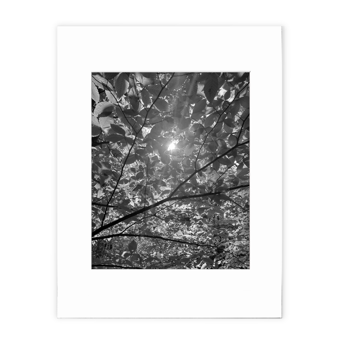 You Are Allowed to Change Matted Photo Print