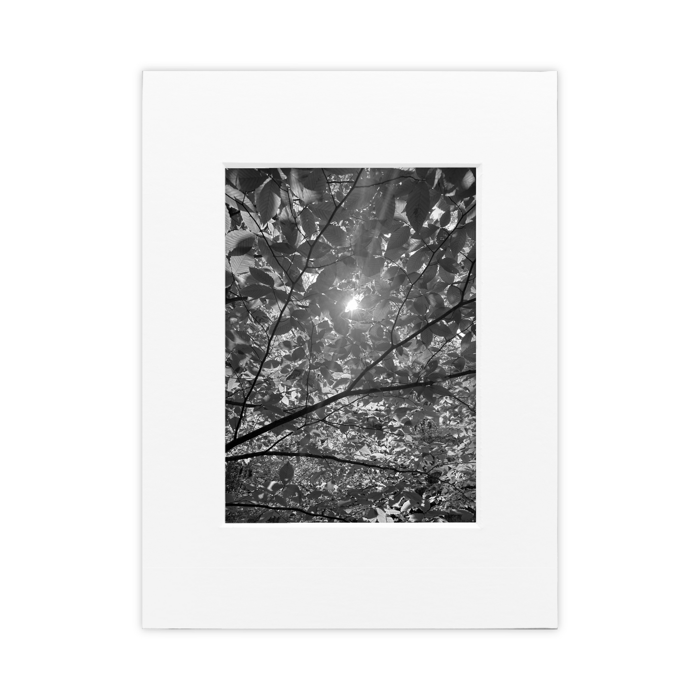 You Are Allowed to Change Matted Photo Print