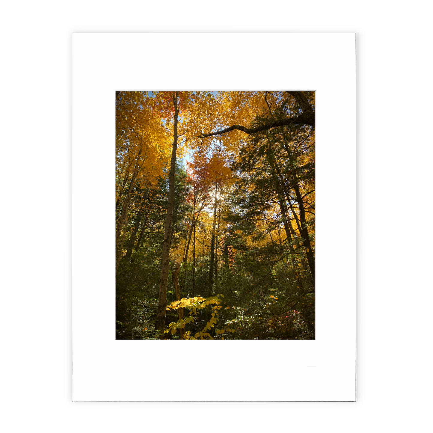 You Were In My Dream Matted Photo Print