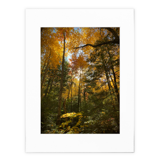 You Were In My Dream Matted Photo Print