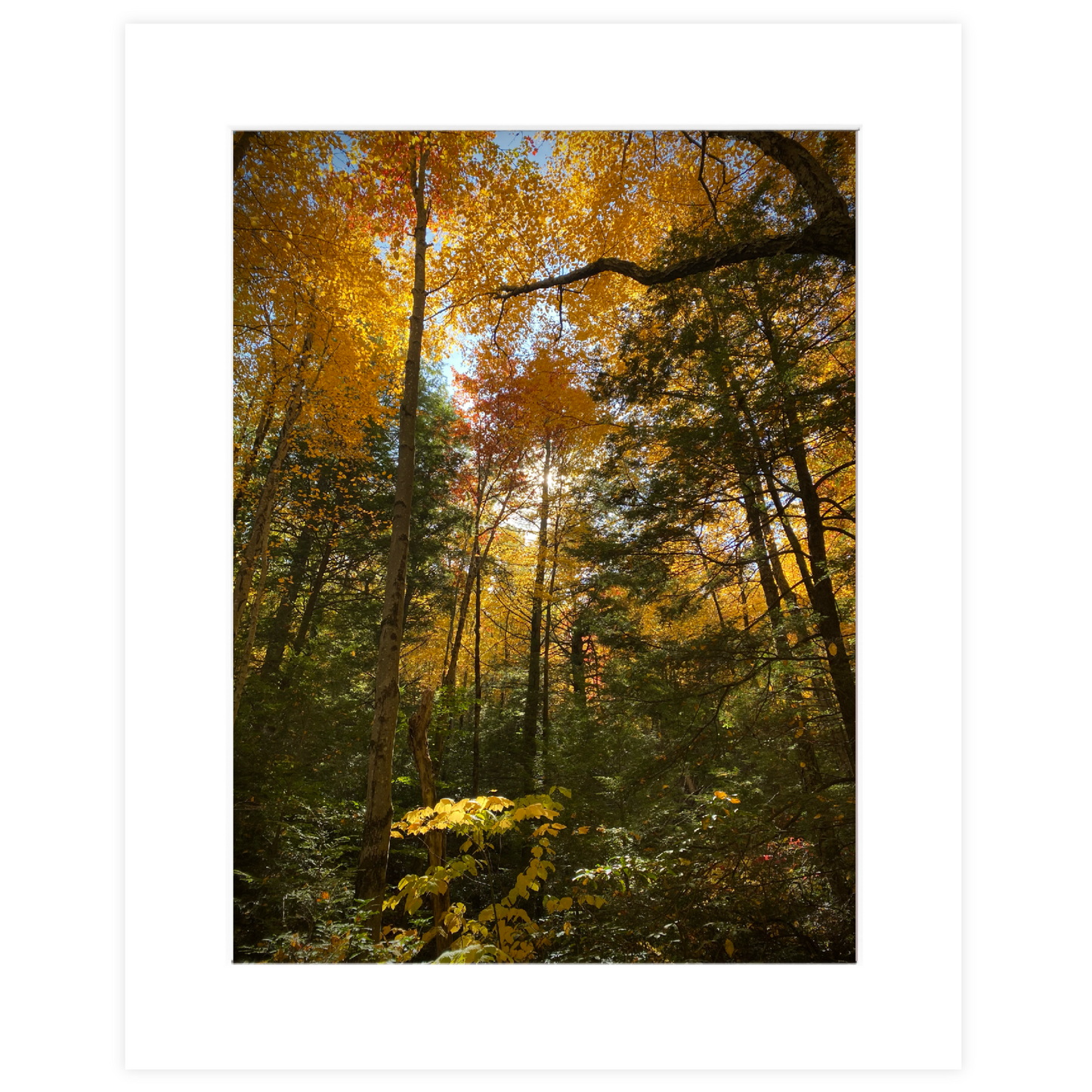 You Were In My Dream Matted Photo Print