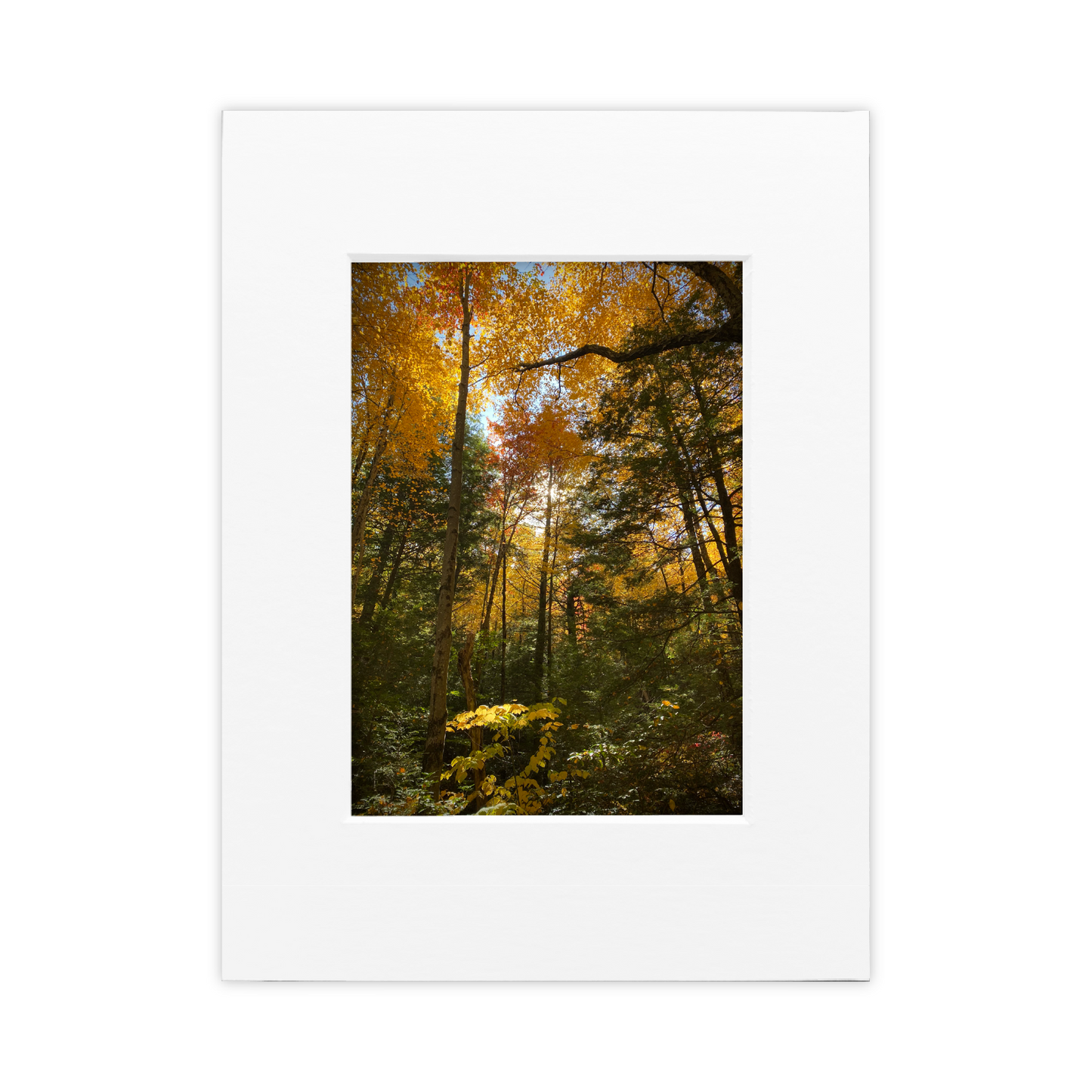 You Were In My Dream Matted Photo Print